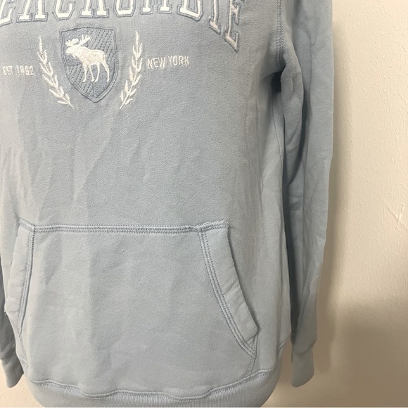 Abercrombie Kids Graphic Unisex Size (13/14) Sweatshirt with Hoodie Blue - Picture 3 of 12